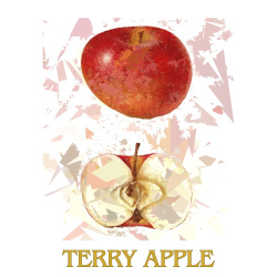 &quot;Terry Apple&quot; Contemporary Fruit Print - Free Shipping