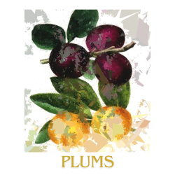 &quot;Plums&quot; Contemporary Fruit Print - Free Shipping