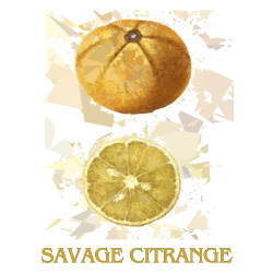 &quot;Savage Citrange&quot; Contemporary Fruit Print - Free Shipping