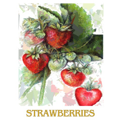 &quot;Strawberries&quot; Contemporary Fruit Print - Free Shipping