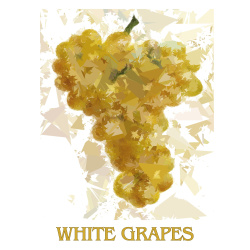 &quot;White Grapes&quot; Contemporary Fruit Print - Free Shipping