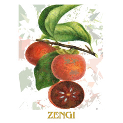 &quot;Zengi&quot; Contemporary Fruit Print - Free Shipping