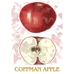 &quot;Apple Series II&quot; (4 Prints: Coffman, Shiawassee, Virginia Beauty &amp; Williams) Contemporary Fruit Prints - Free Shipping