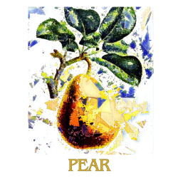 &quot;Pear&quot; Contemporary Abstract Fruit Print - Free Shipping