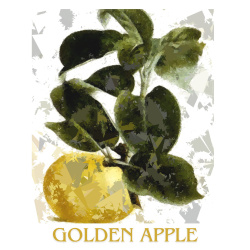 &quot;Golden Apple&quot; Contemporary Fruit Print - Free Shipping