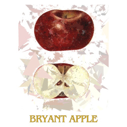 &quot;Bryant Apple&quot; Contemporary Fruit Print - Free Shipping