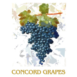 &quot;Concord Grapes&quot; Contemporary Fruit Print - Free Shipping