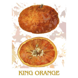 &quot;King Orange&quot; Contemporary Fruit Print - Free Shipping