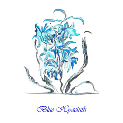 &quot;Blue Hyacinth&quot; Contemporary Botanical Art Print - Free Shipping