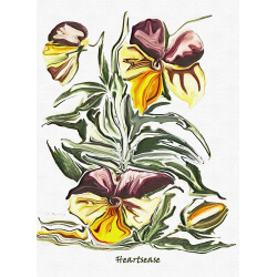 &quot;Heartsease&quot; Contemporary Botanical Art Print - Free Shipping