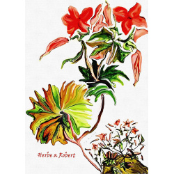 &quot;Herbe a Robert&quot; Contemporary Botanical Art Print - Free Shipping