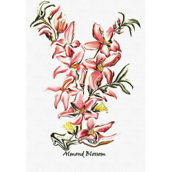 &quot;Almond Blossom&quot; Contemporary Botanical Art Print - Free Shipping