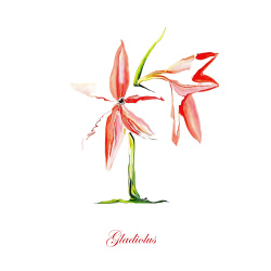 &quot;Gladiolus&quot; Contemporary Botanical Art Print - Free Shipping