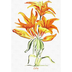 &quot;Lily&quot; Contemporary Botanical Art Print - Free Shipping