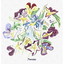 &quot;Pansies&quot; Contemporary Botanical Art Print - Free Shipping