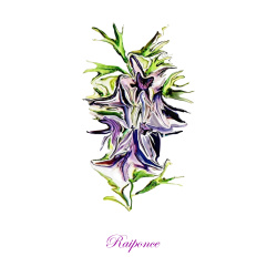 &quot;Raiponce&quot; Contemporary Botanical Art Print - Free Shipping