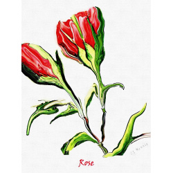 &quot;Rose&quot; Contemporary Botanical Art Print - Free Shipping