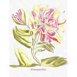 &quot;Honeysuckle&quot; Contemporary Botanical Art Print - Free Shipping