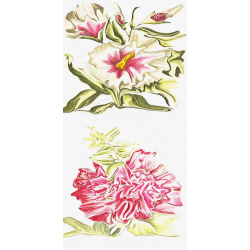 &quot;Althea Frutex &amp; Hollyhock&quot; Duo Print (One Print with 2 Designs in Portrait Format) - Free Shipping