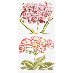 &quot;Guernsey Lily &amp; Polianthus&quot; Duo Print (One Print with 2 Designs in Portrait Format)