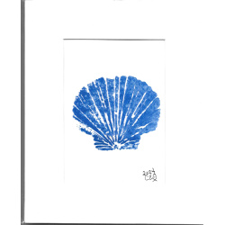 Hand Painted &quot;Blue Shell&quot; 5 x 7 in an 8 x 10 Mat - Free Shipping